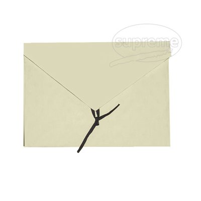 plain canvas colored envelopes bulk
